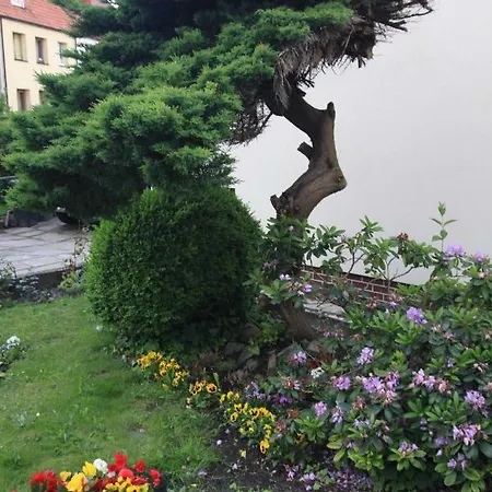 Morski Zakatek - Dom Z Ogrodem Na Wylacznosc Homestay Kolobrzeg